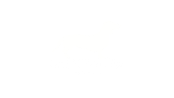 Salchipatas